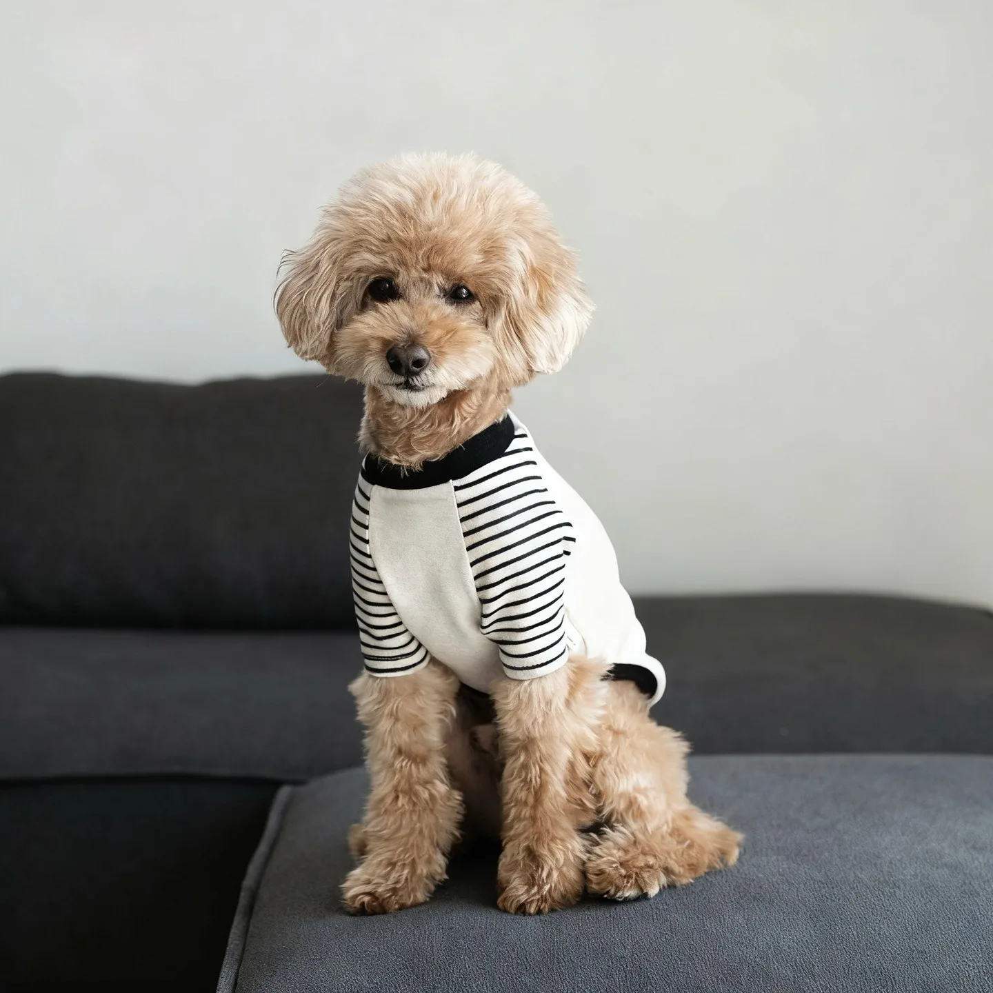 Embroidered Patchwork Pet Sweatshirt Bichon Warm Bottoming Shirt Teddy Winter Vest Soft Pullover for Small to Medium Dog