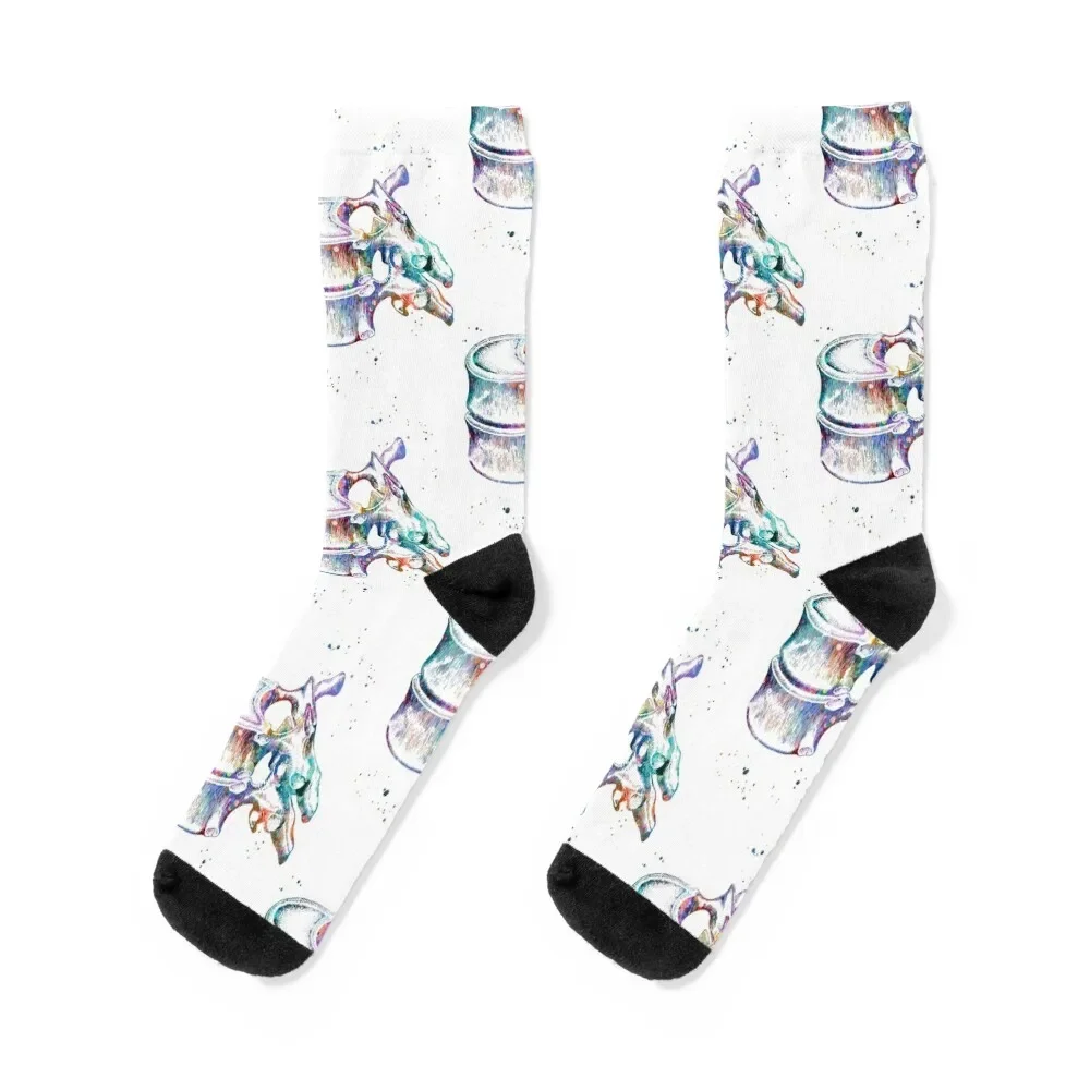 Thoracic Vertebrae Spine Anatomy Socks colored heated cute Crossfit Men Socks Luxury Brand Women's