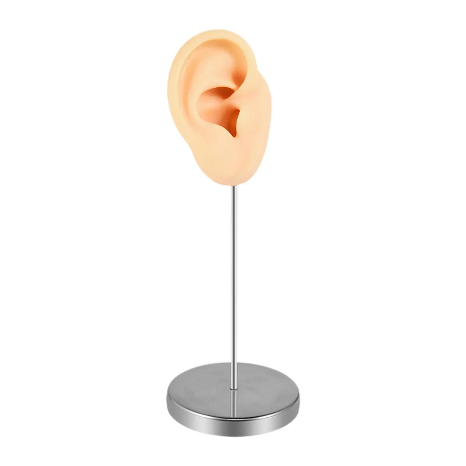 Realistic Silicone Ear Model, Earring Display Prop