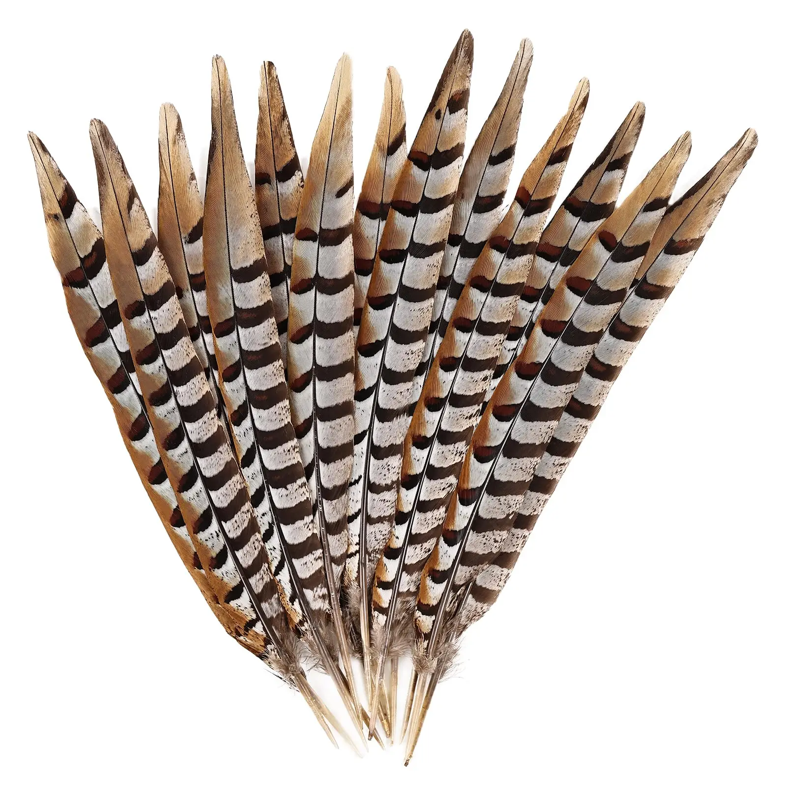 

5 шт., 20-60 см, перо и перья хвоста фазана, натуральное мужское кольцо для рукоделия, свадебная вечеринка, карнавальное украшение