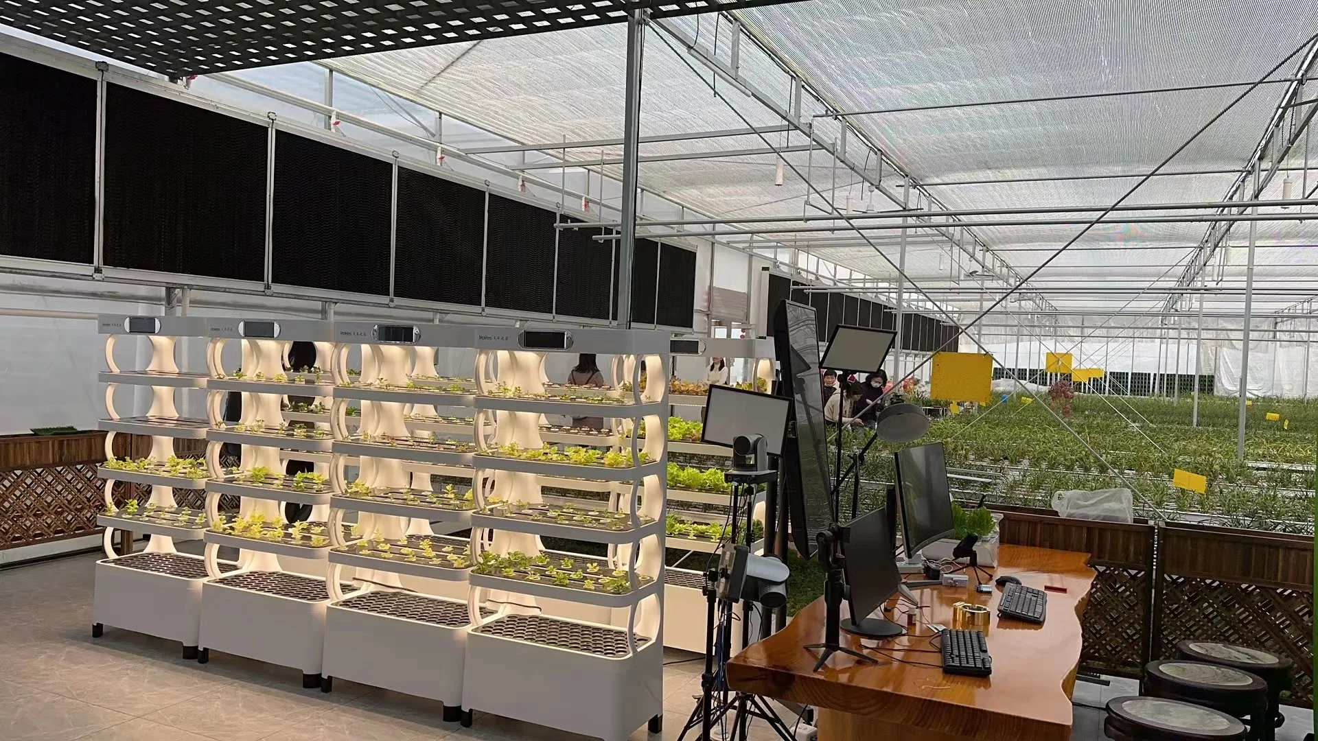 نظام نمو المنزل الذكي آلة زراعة الخضروات الزراعة العمودية المائية حديقة داخلية #6