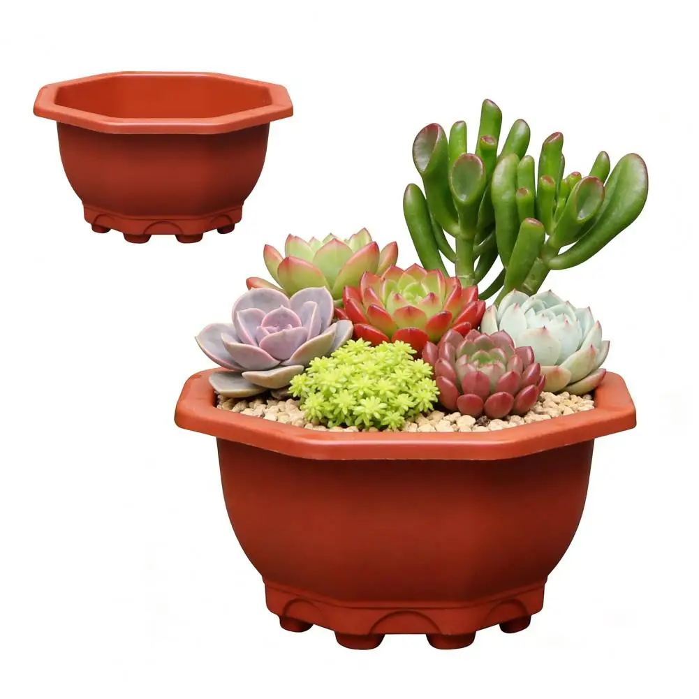 Flowerpot for Phalaenopsis Small Planter Air Circulation Flower Pot with Drainage Holes Breathable Thickened Plastic for Bamboo