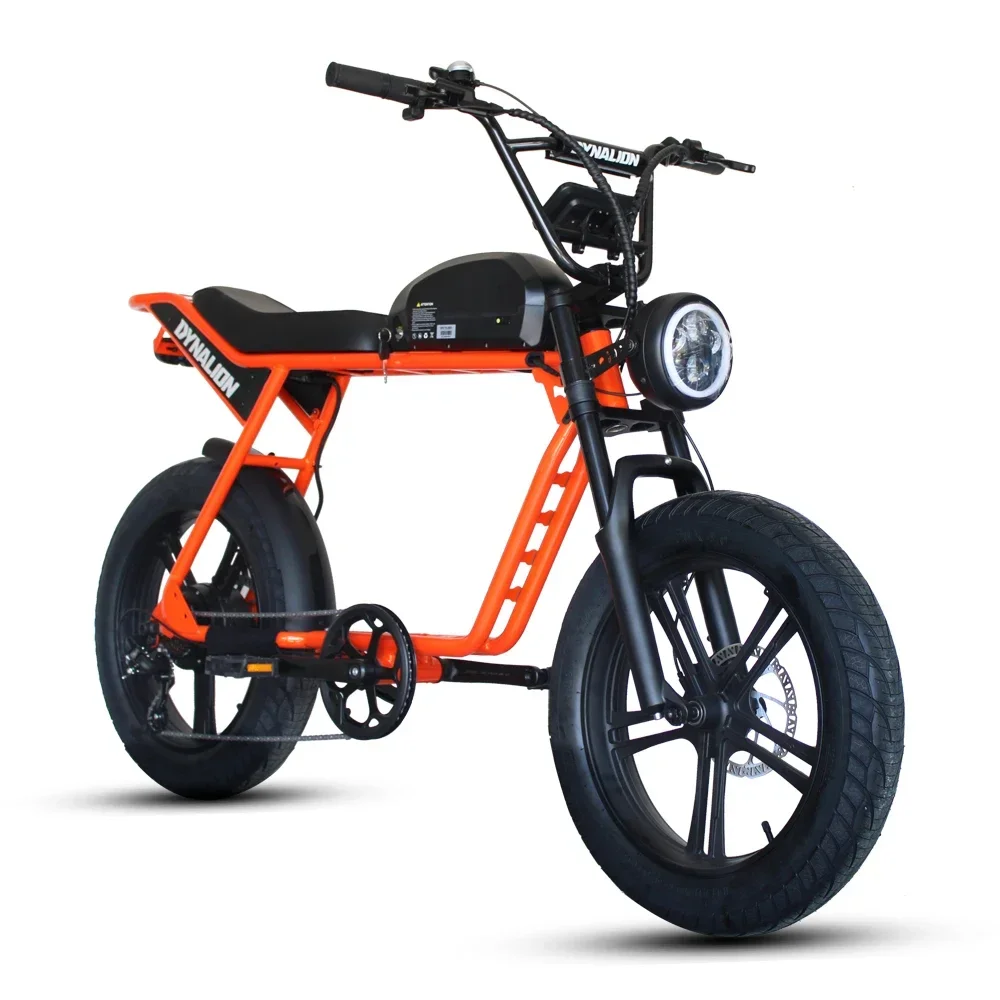 Hot Sell Electric Bicycle Free Shipping Bike