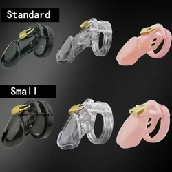 5 Size Male Chastity Cage Device Small/Standard Cock Cage with Rings Erotics Urethral Brass Lock Locking Sex Toys for Men Adults