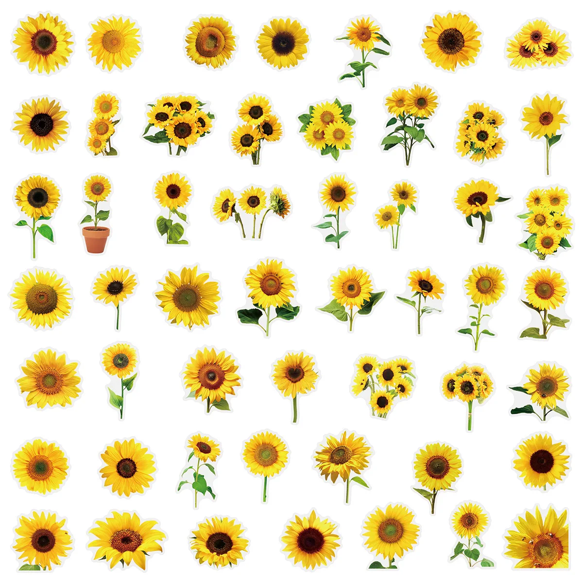 50PCS Transparent Daisy/Sunflower Stickers Decorative Guitar Notebook Waterproof PET Notebook Stationery Box Flower Stickers
