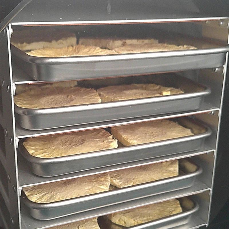 

Customized 5-Tray Lyophilizer Machine 6kg/Batch Freeze Drying Equipment with Vacuum Pump Automatic for Food Processing