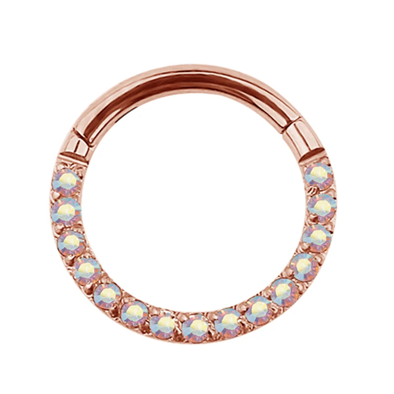 G23 Titanium Hinged Segment Hoop Nose Ring Earring