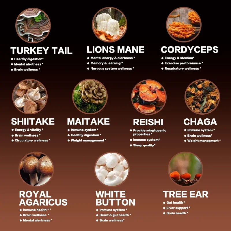 مجمع الفطر - صحة الجهاز العصبي للدماغ ومكملات الذاكرة مناعة النوم ودعم المزاج #4