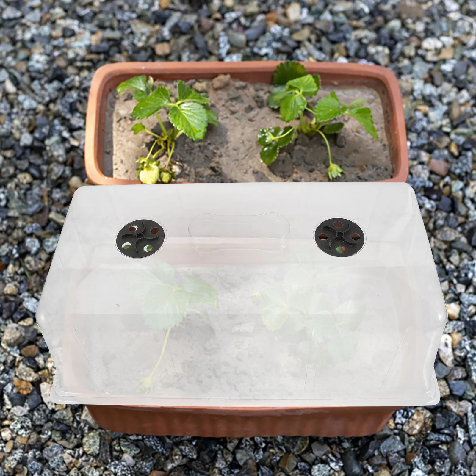 غطاء صينية الرطوبة على شكل قبة النبات للنباتات الصغيرة غطاء إنبات قابل لإعادة الاستخدام غطاء وعاء الحضانة خفيف الوزن غطاء ترطيب الحديقة