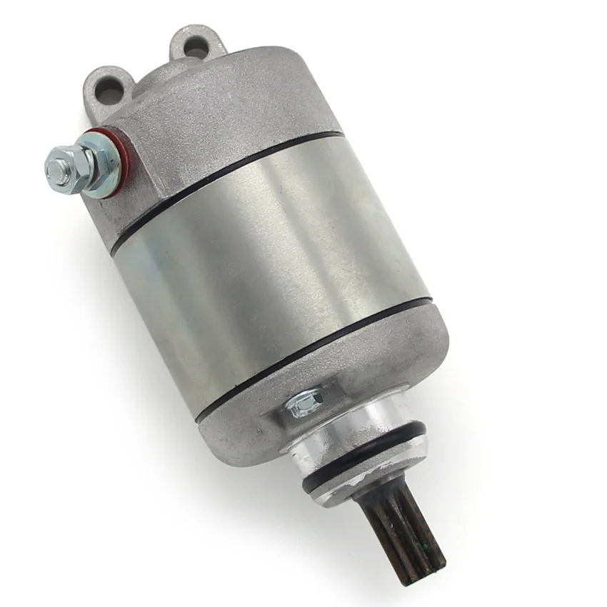 Motorcycle Parts Starter Motor For Beta RR Enduro 250 SM 250 250 400 450 520 525 OEM:3625366000 Starter Motor Accessories