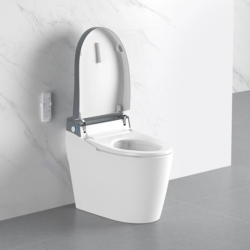 BTO Standard Design Aurora Grey Floor Standing Wc Smart Intelligent Toilet with Bidet Self-cleaning Function