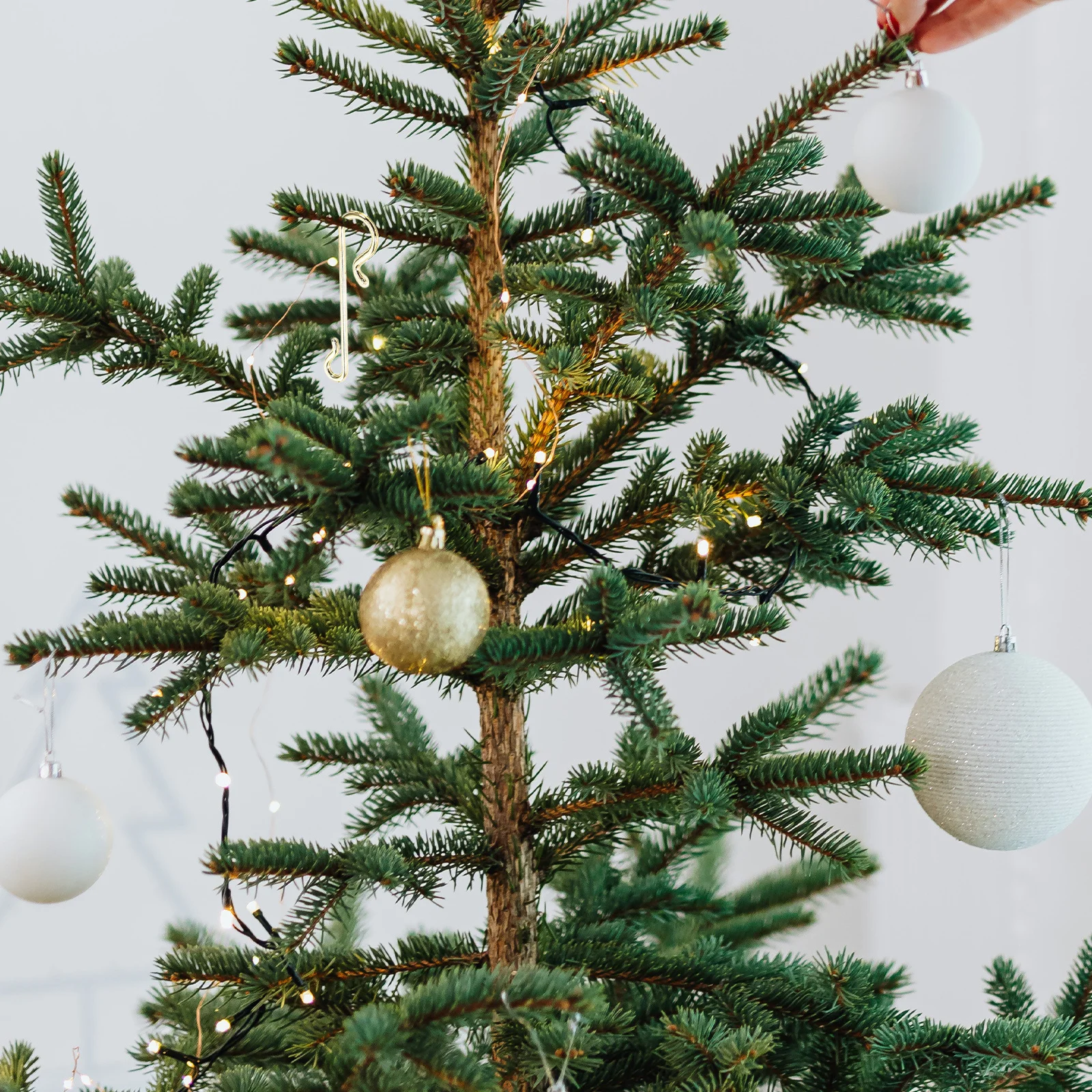 

100Pcs Christmas Tree Ornament Hangers Shaped Hooks for Hanging Ornaments Holiday Decoration Hooks Ornaments Hook