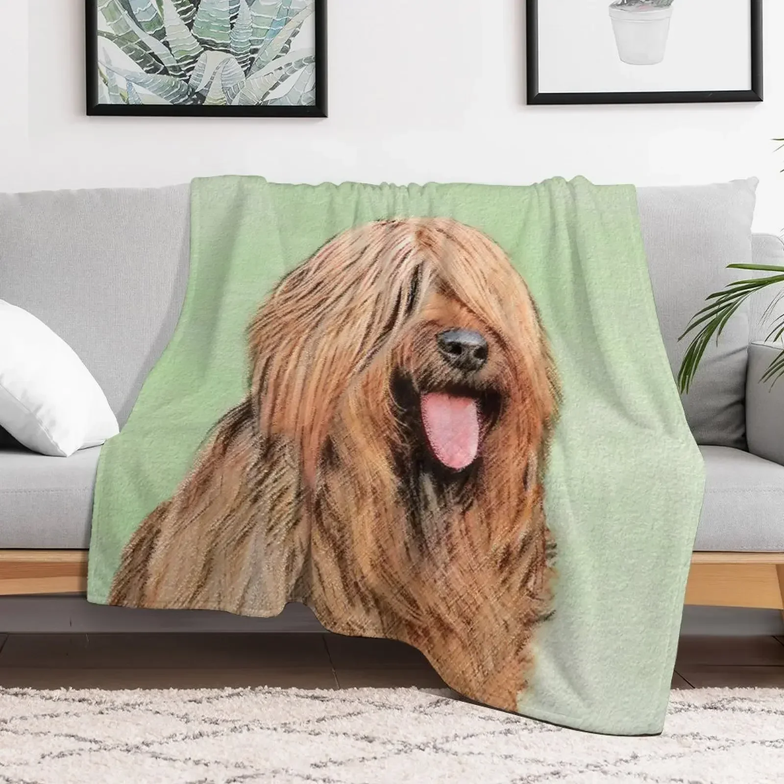 Briard Throw Blanket Soft Plush Plaid Hairys Blankets