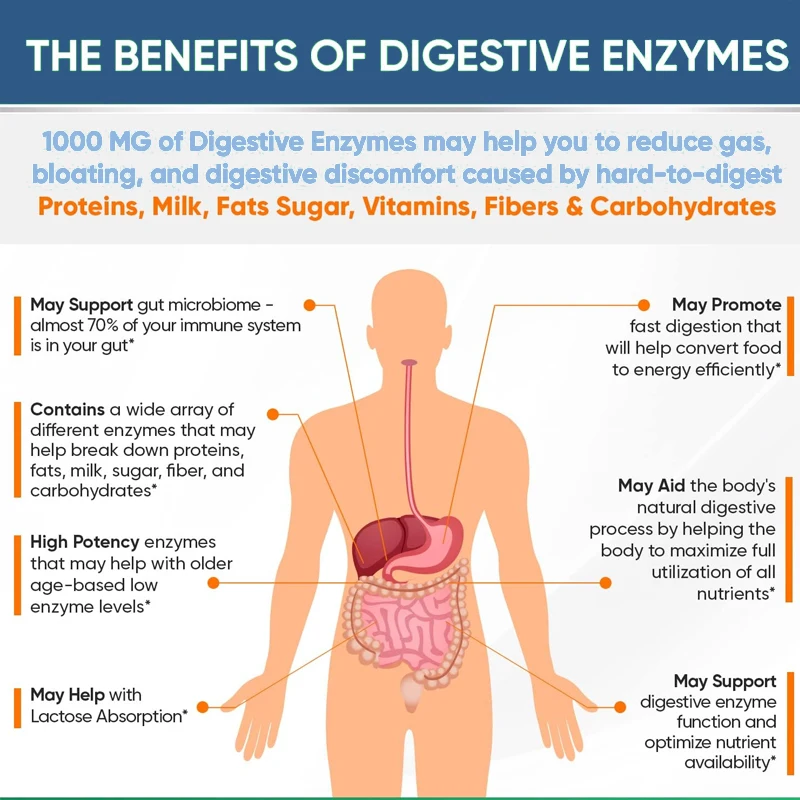 Digestive Enzyme Capsules Contain Amylase, Protease, Glucoamylase | Promote Digestive Function and Healthy Intestines