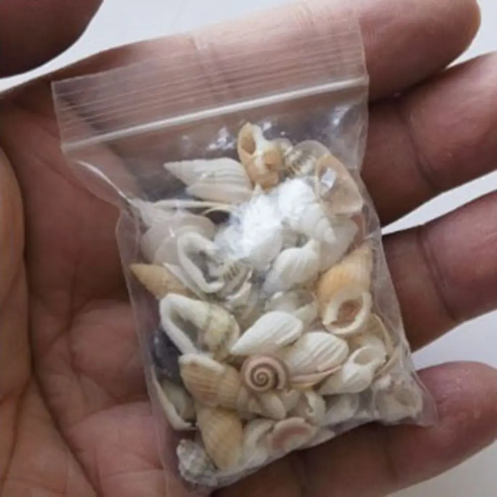 High Quality 0.3~0.6cm Mini Conch Shell Mini Beach Scene Beach Seaside Model Dollhouse Decoration