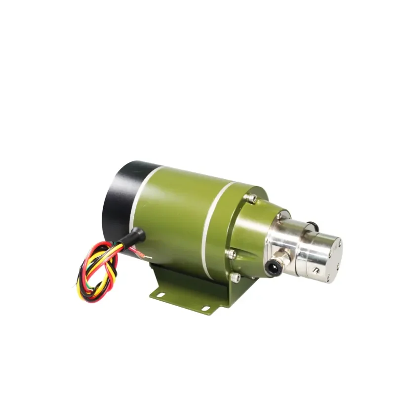 Factory Direct Sales Biochemical Chemolour Micro Gear Pump 220V Magnetic Drive Medical Cleaning Pump