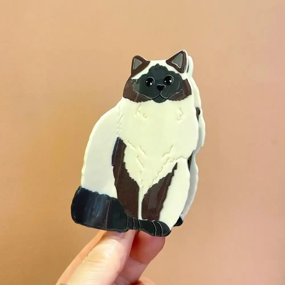 Mode Essigsäure Acetat Katze Haar Klaue Cartoon Haarnadel Tier Haar Clip Kopfschmuck Haar Zubehör Shark Clip Täglich