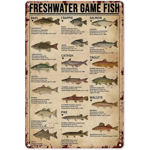 Retro Tin Signs Vintage Style Fishing Art Prints Type of Fish Freshwater Game