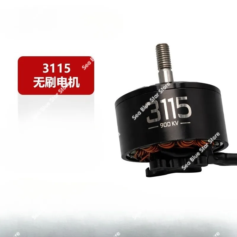 Brushless motor 3115-900KV 10-inch model aircraft 6S speed motor, passing through the drone motor