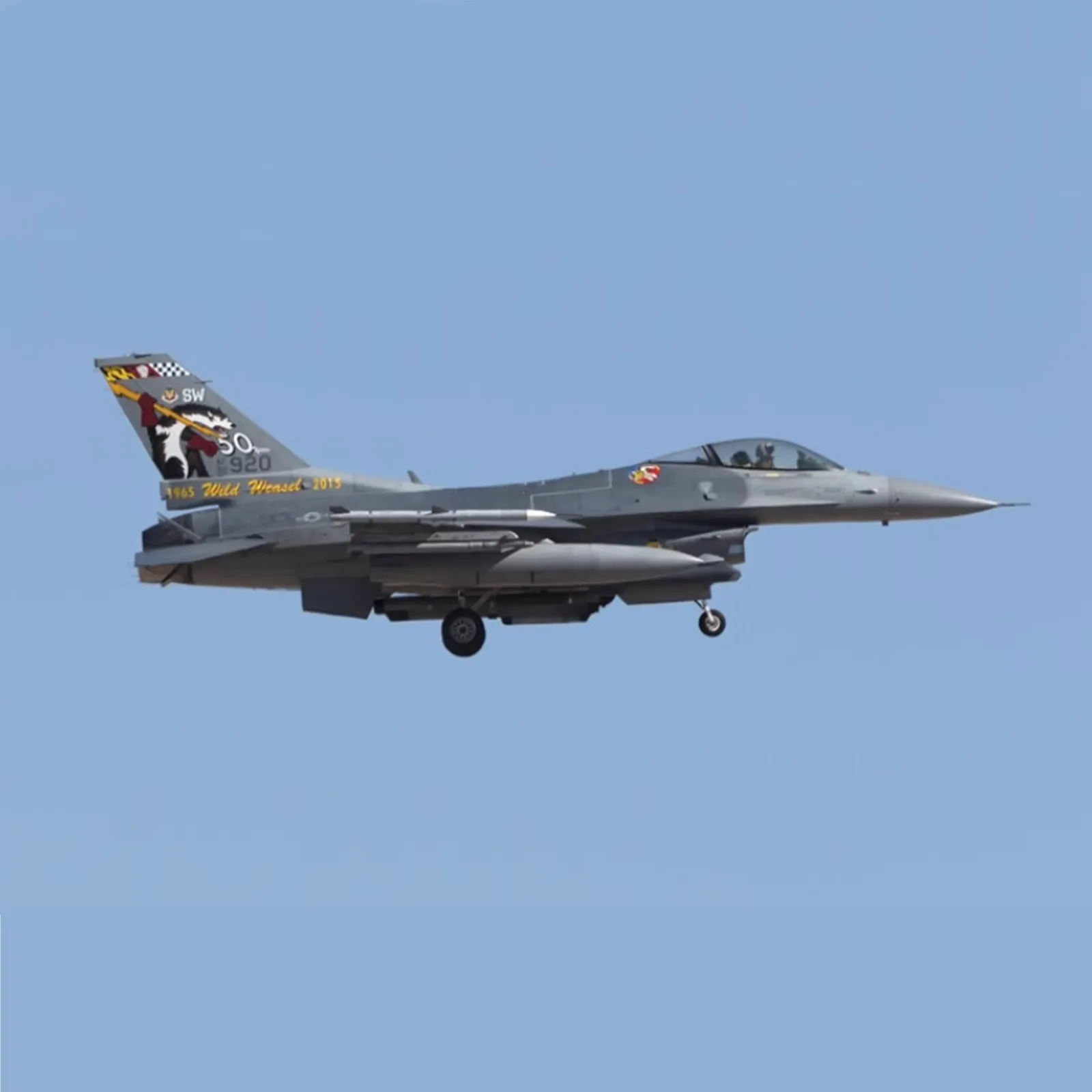 Imagem -05 - Galaxy G48063 Usaf F16c 50 ° Aniversário dos Doninhas Selvagens 2023 Tamiya 61106 48 Decalque Modelo de Aeronave Faça Você Mesmo Adesivos de Água