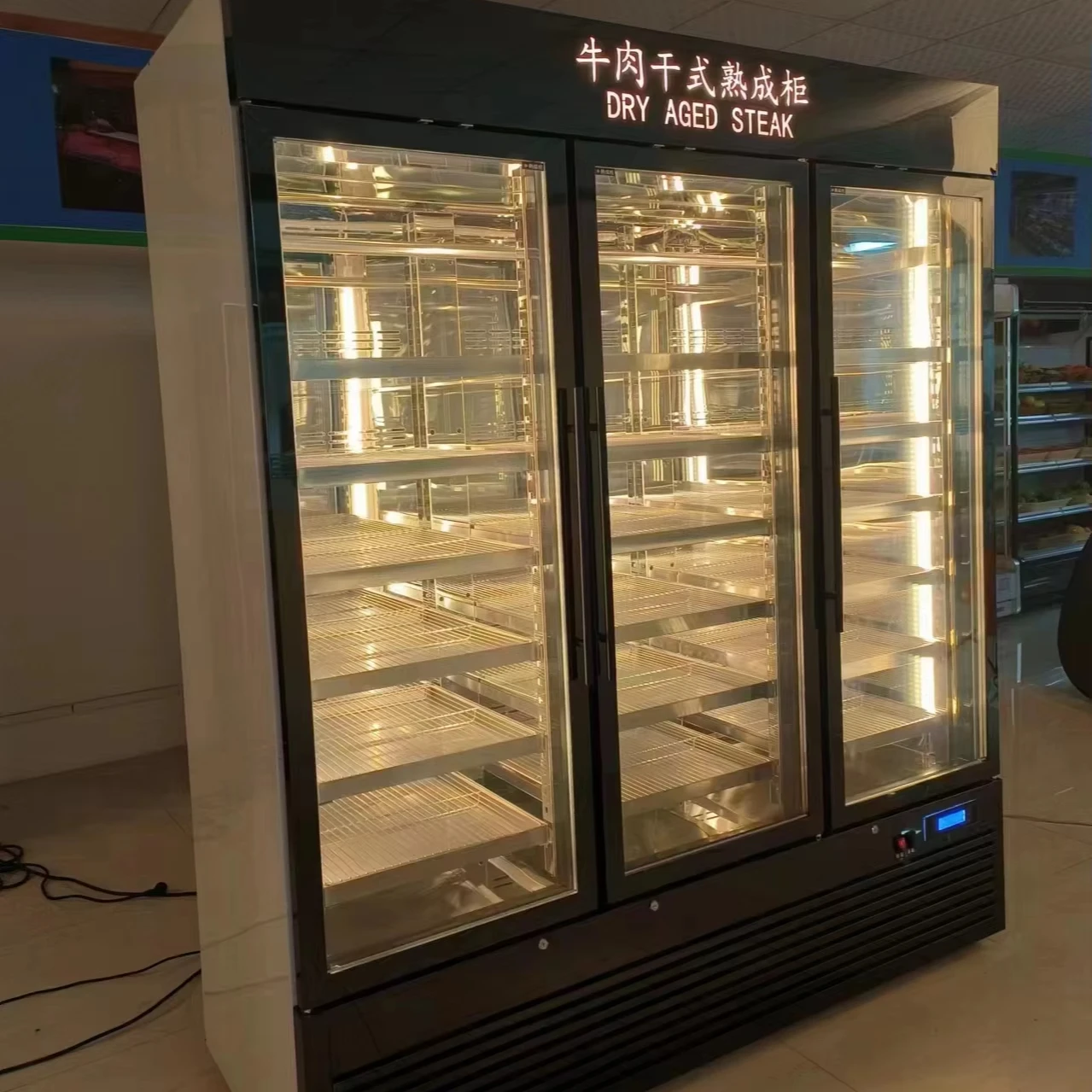 Customize New Upgrades Smart Dri Dry Ager Fridge Deep Freezer Aged Aging Refrigerator Hanging Beef Meat Kichen Equipment Cabinet