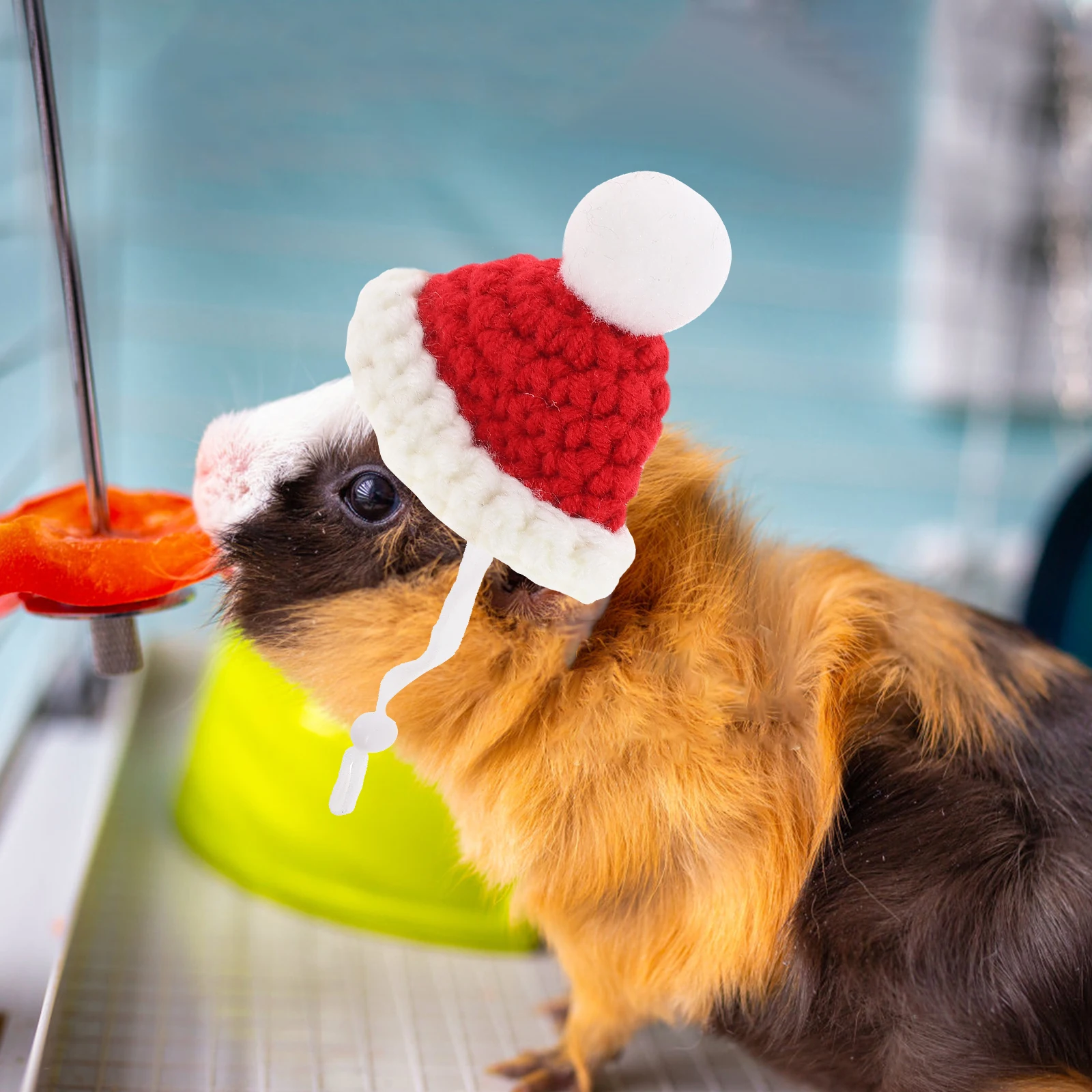 

Miniature Hamster Knitted Hat Tiny Decorative Pet Cosplay Costume For Small Animals Halloween Photo Prop Chinchilla Guinea Pig