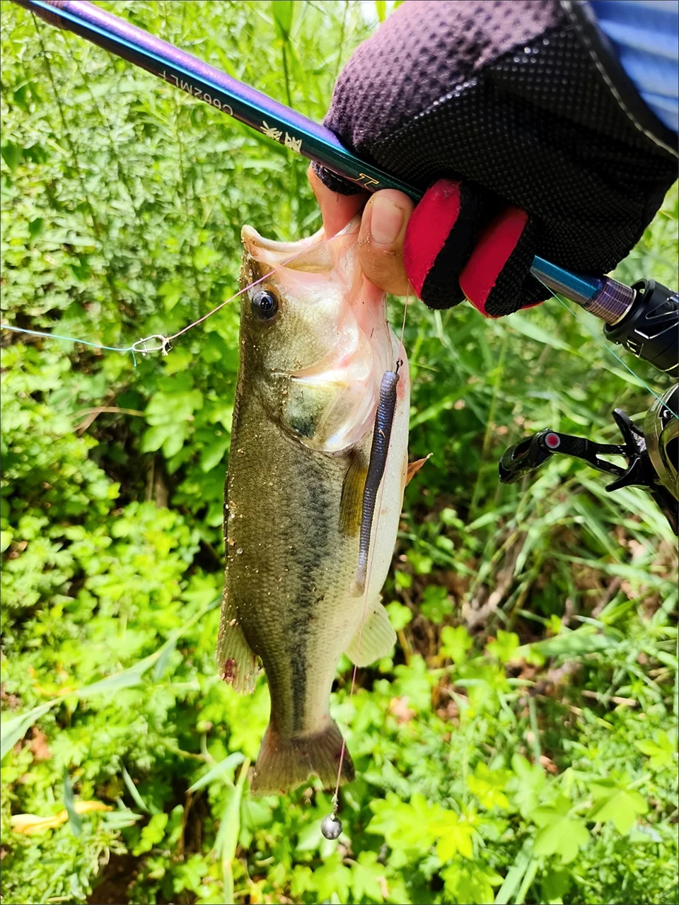 Mukun Soft Baits Wurm lockt Cutty 2,3mm 10 stücke g Angel köder Kurbel köder Angeln Forelle Hecht Wels Pesca künstlich – Detail 12
