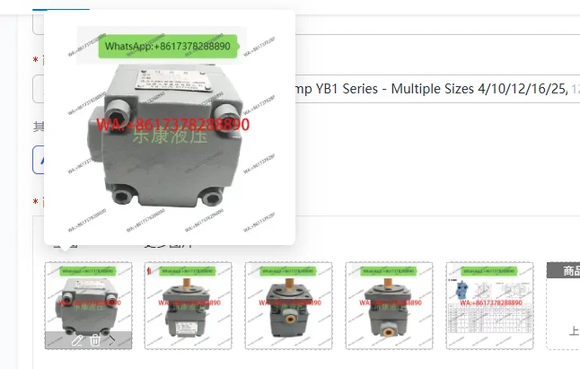 Xianju Hydraulic Grinding Vane Pump YB1 Series - Multiple Sizes 4/10/12/16/25/32/40/50/63/80/100 Durable Industrial Pump for Gri