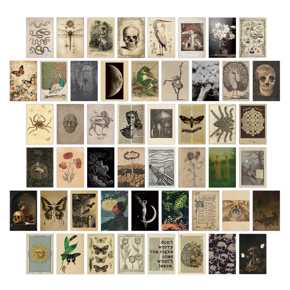 50pcs Vintage Poster Wall Collage Kit Room Decor Vintage Aesthetic Photo Collage Kit Insect Plant Postcard Halloween Decoration