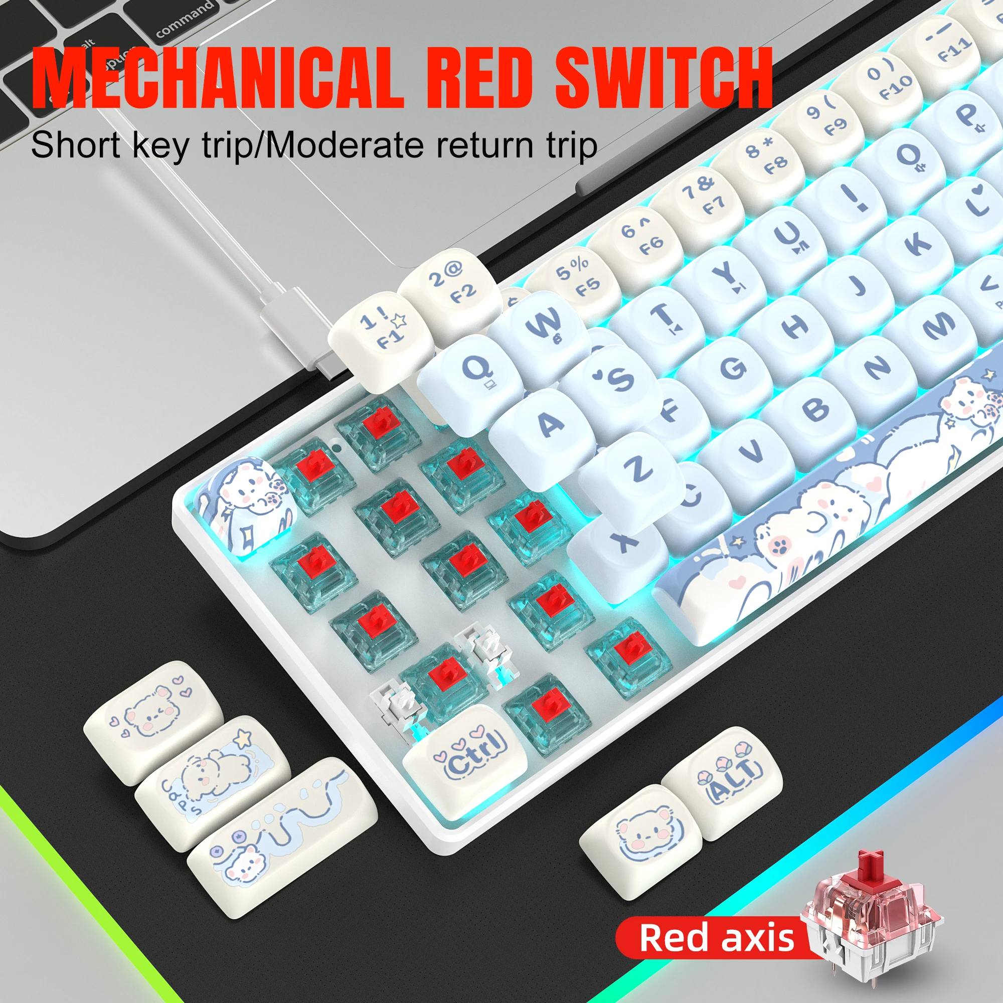 Mechanical Keyboard 65% Compact Layout Gaming Keyboard with PBT MOA Profile Sublimation Keycaps Swap Switch Ice Blue Backlit