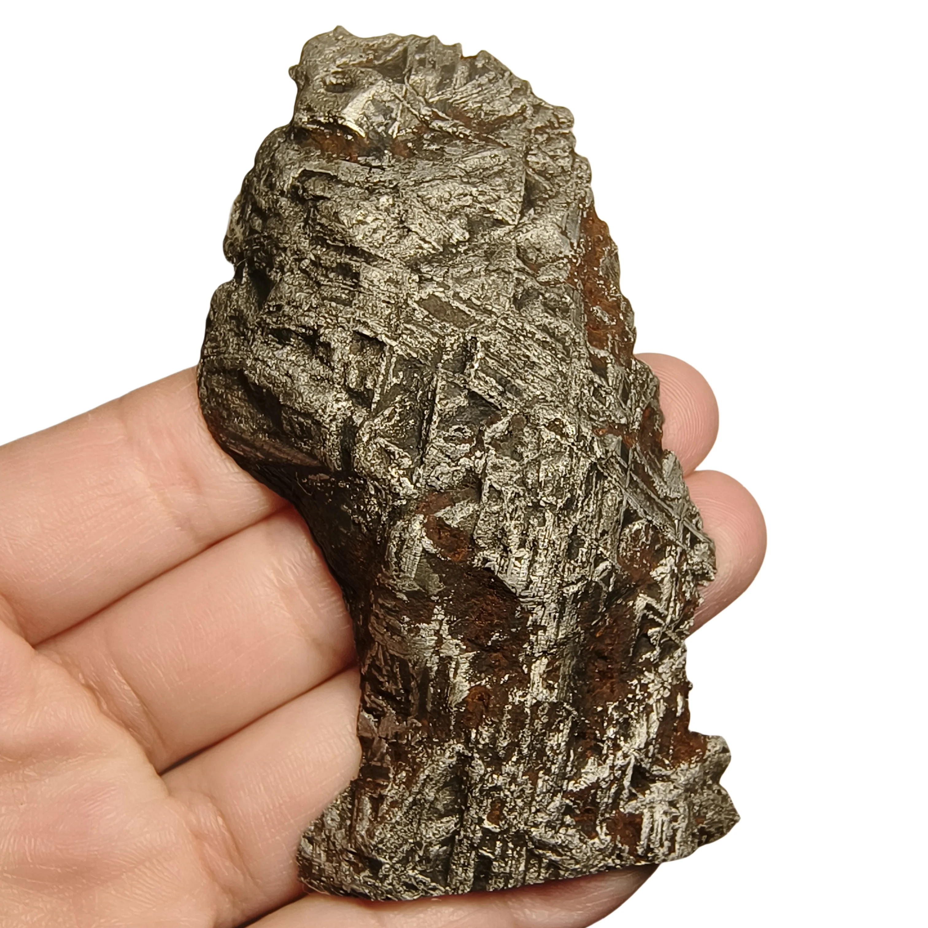 

148.9g Namibian Gibbon Iron Meteorite G Iron Ore Section Specimen Slices Collectable and Processable -QC781