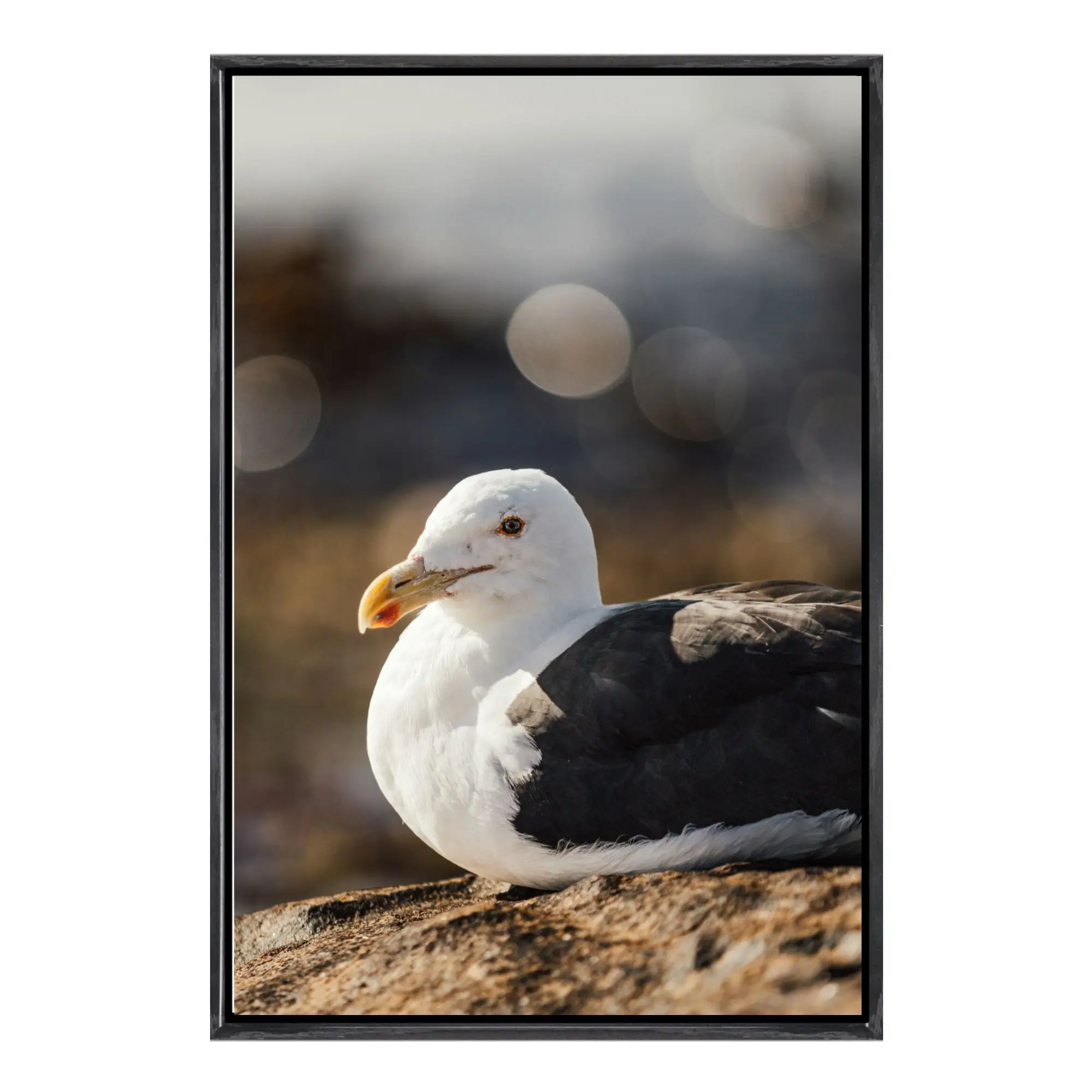 

Seagull Canvas Framed Wall Art Coastal Ocean Beach Nature Seaside Bird Print Home Decor for Home Office Wall Decoration