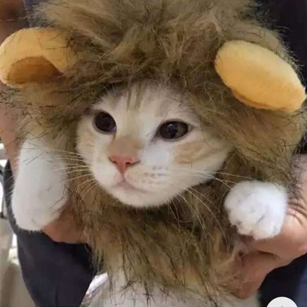 

Lion Head Cap Small Cats Dogs Pet Dress Up Costume Hat For Puppy Kitten Everyday Party Walk Winter Autumn Accessory Cat