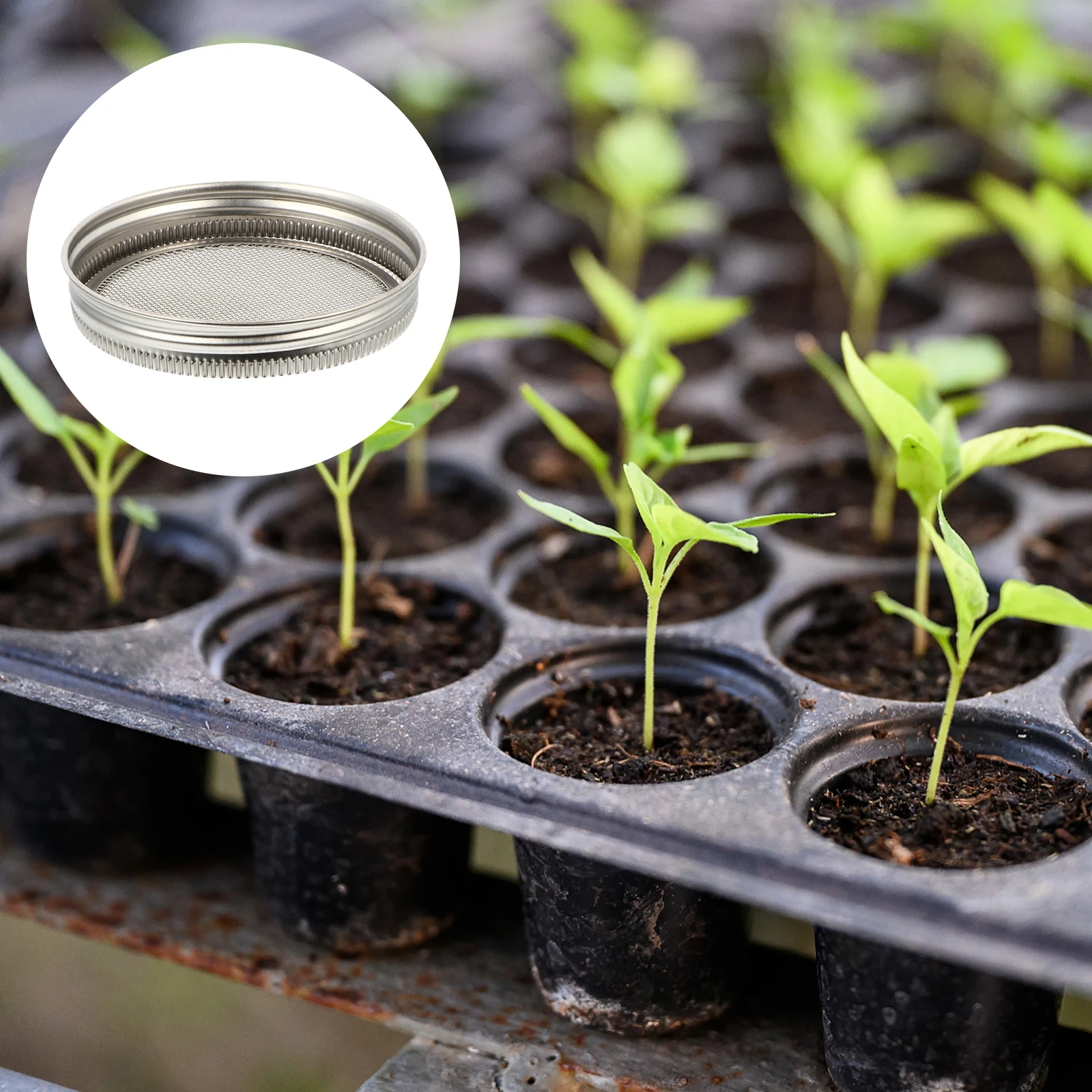 

Sprouting Stainless Steel Lid Strainer Cover for Mason Jars Canning Jar Rinse Drain Screen Coffee Tea Broth Powder