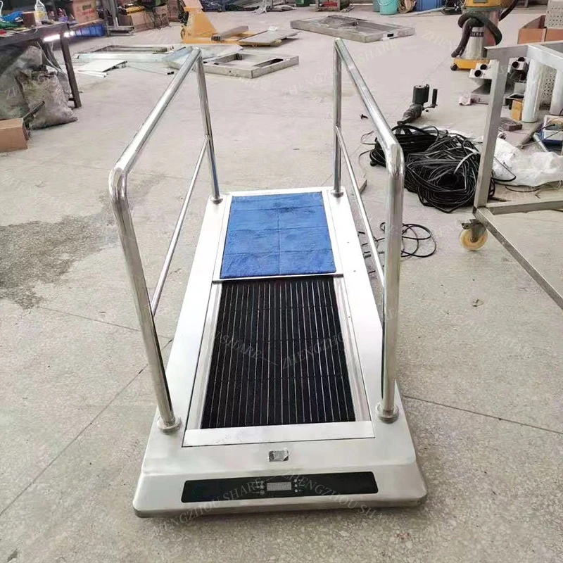 Clean Room Automatic Intelligent Induction Shoe Sole Cleaning Machine Shoe Polisher