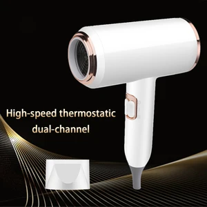 F33 T821 Professional Hair Dryer, Hot Wind and Cold, Air Brush Dryer, Negative Lonic Dryer, Strong Tool of the Power Salon, 2400W 10 Main Sales hair dryer - №5