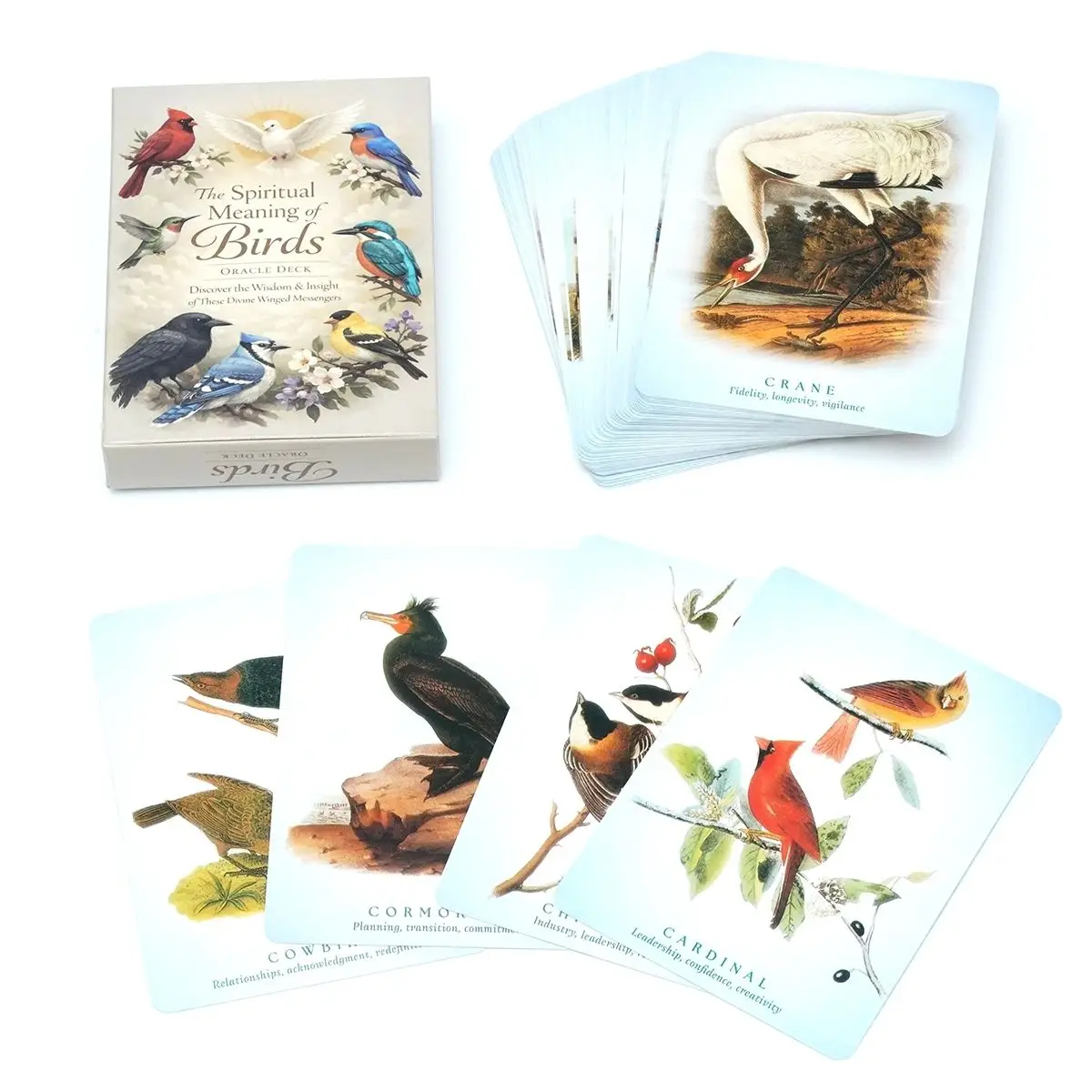 Le sens spirituel des oiseaux - Jeu de cartes Oracle 10,5*7,5 cm, 50 cartes de divination inspirées de la nature pour l'inspiration et la sagesse