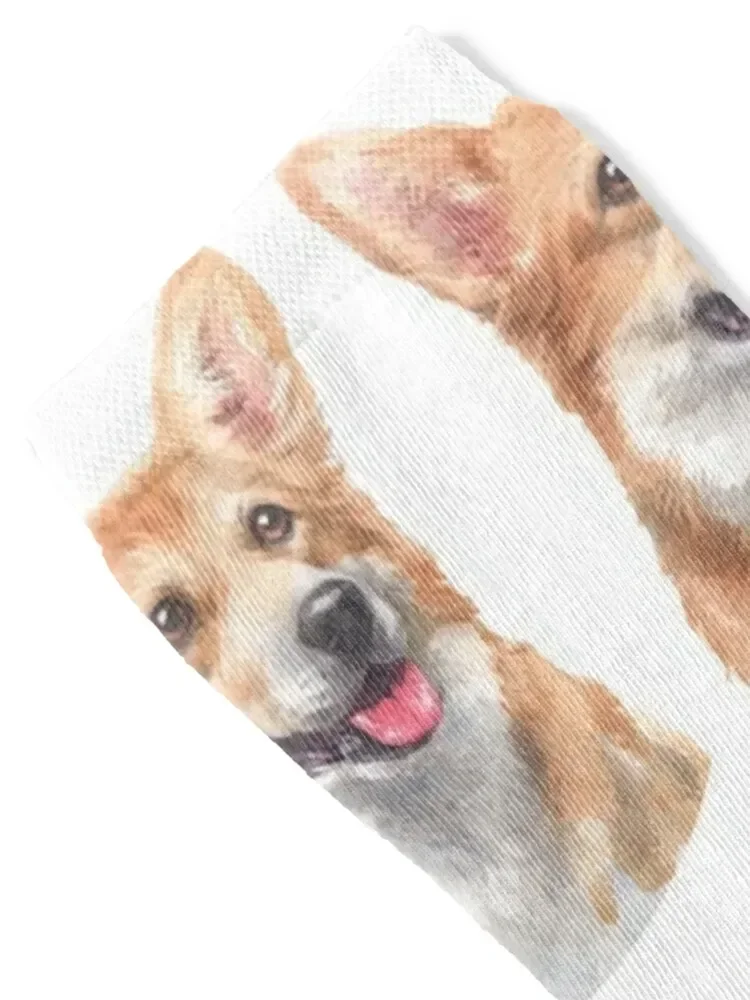 Happy Pembroke Welsh Corgi Watercolor Art Socks Crossfit happy Ladies Socks Men's