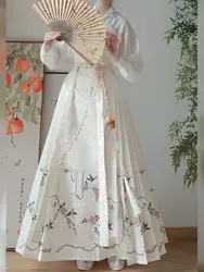 Hanfu Female Song Dynasty Cross Plane Sleeve Clothes Spring And Summer Work Daily Dress Chinese Style Horse Face Skirt