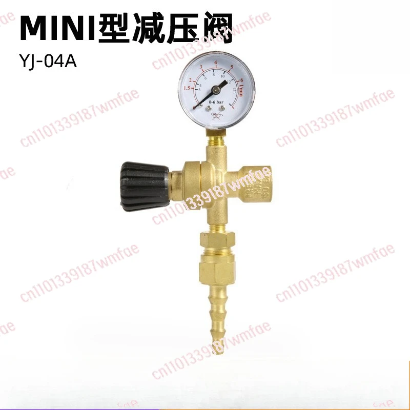 Stable Mini Argon Carbon Dioxide Pressure Reducer Pressure Gauge Instrument 36v220V Two Welding Pressure Reducing Valve M10 * 1