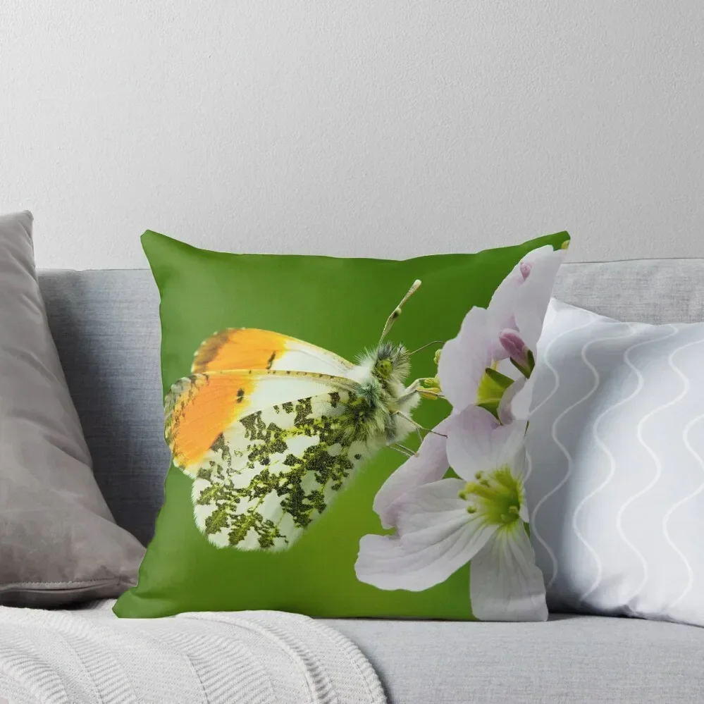 

Male Orange-tip Butterfly Throw Throw Pillow Cushions Home Decor christmas supplies Anime pillow
