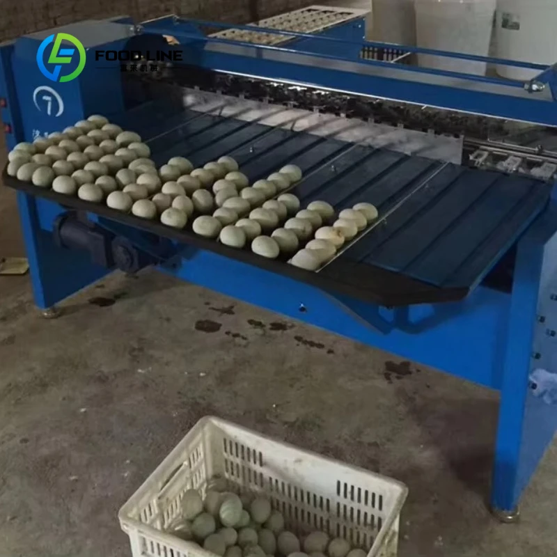 Customized Automatic Egg Grading Machine Egg Sorter Weight Sorting for Poultry Farm Duck Preserved Egg Size Classification