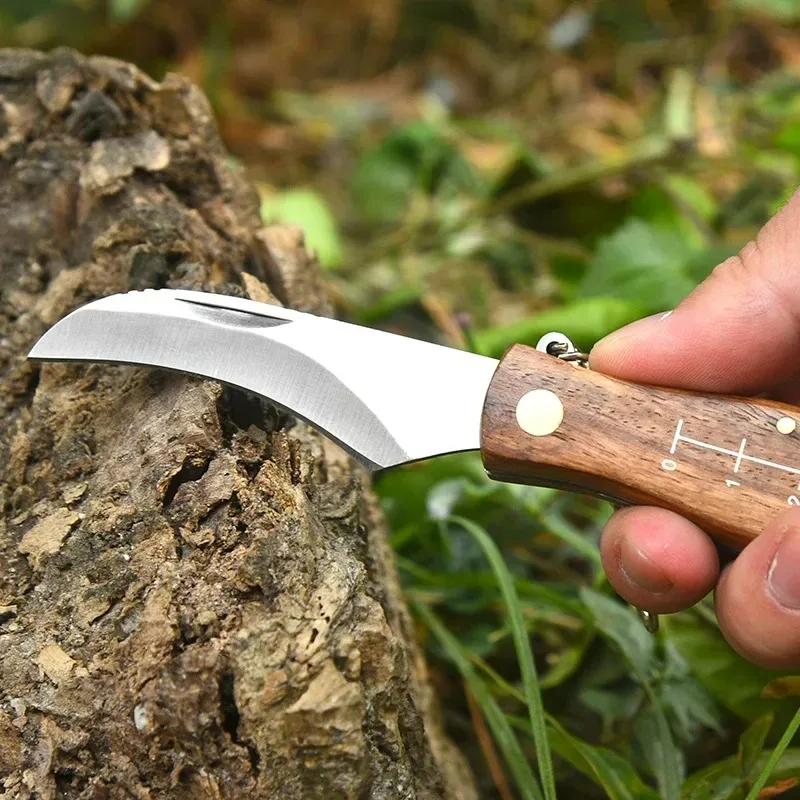 Stainless Steel Folding Knife Multifunctional Brush Outdoor Mini Mushroom Knife EDC Wooden Handle Sharp Camping Hunting Survival