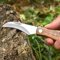 Stainless Steel Folding Knife Multifunctional Brush Outdoor Mini Mushroom Knife EDC Wooden Handle Sharp Camping Hunting Survival