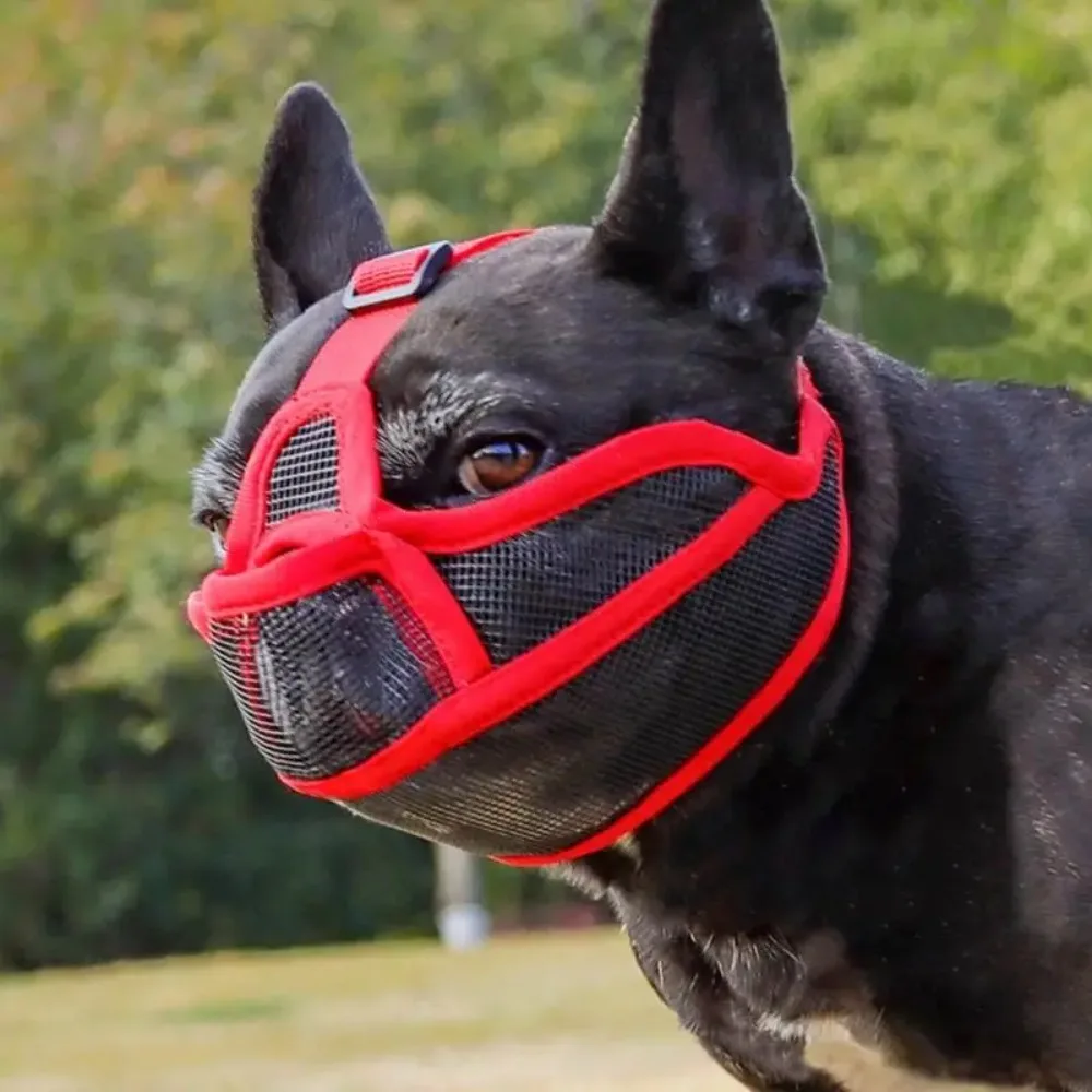 

Pet Dog Muzzles Adjustable French Bulldog Muzzle Dog Mouth Mask Breathable Muzzle for Anti Stop Barking Supplies Prevent Biting