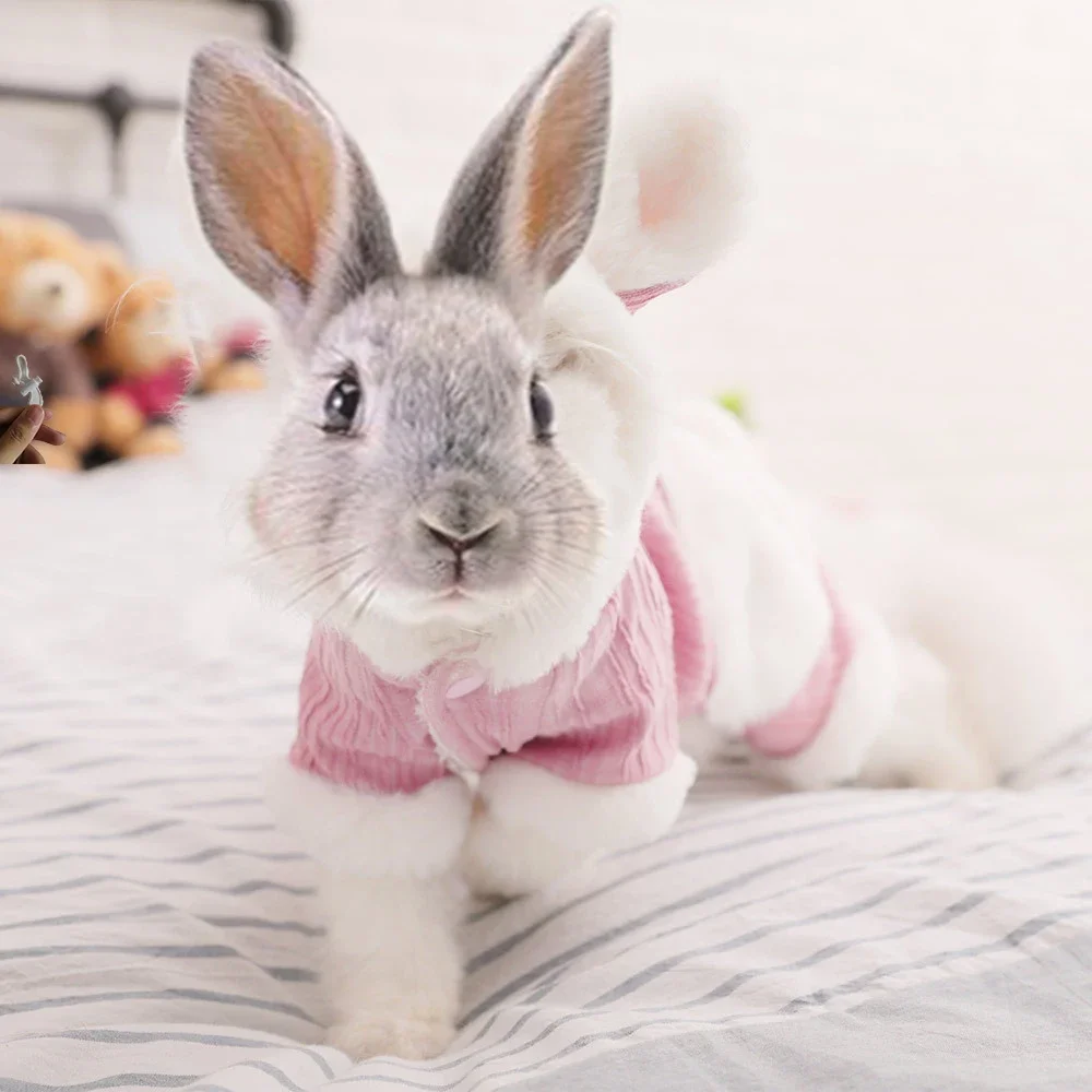 Autumn and Winter Rabbit Clothes Dwarf Lop-Eared Bunny Clothes Rabbit Accessories  Conejos Accesorios  Jaula Conejo