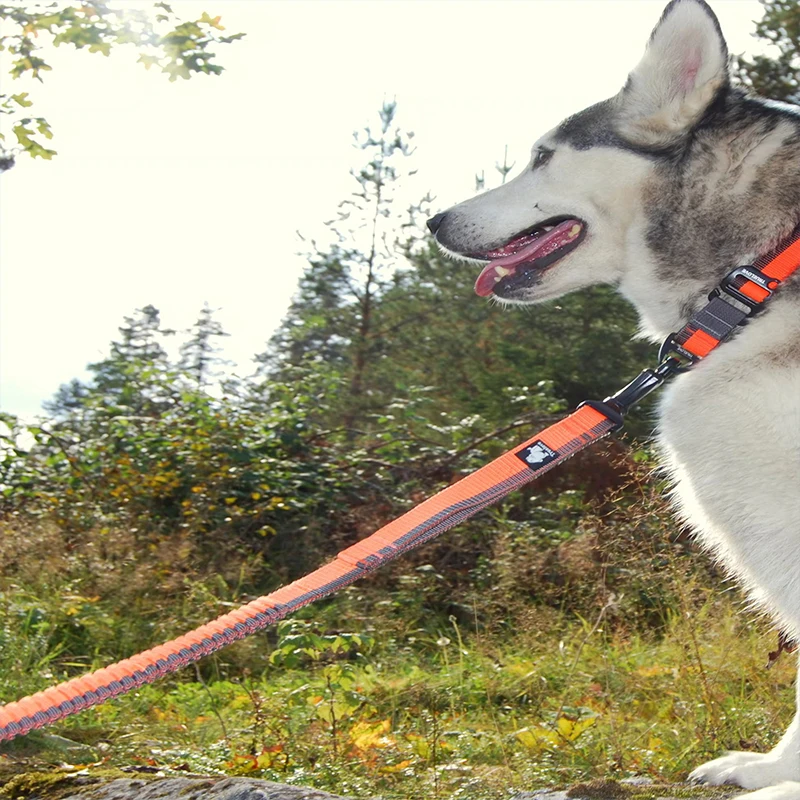 Truelove TLL2271 Adjustable Bungee Dog Leash, Nylon Elastic Shock Absorbing Pet Lead for Daily Walking & Travel