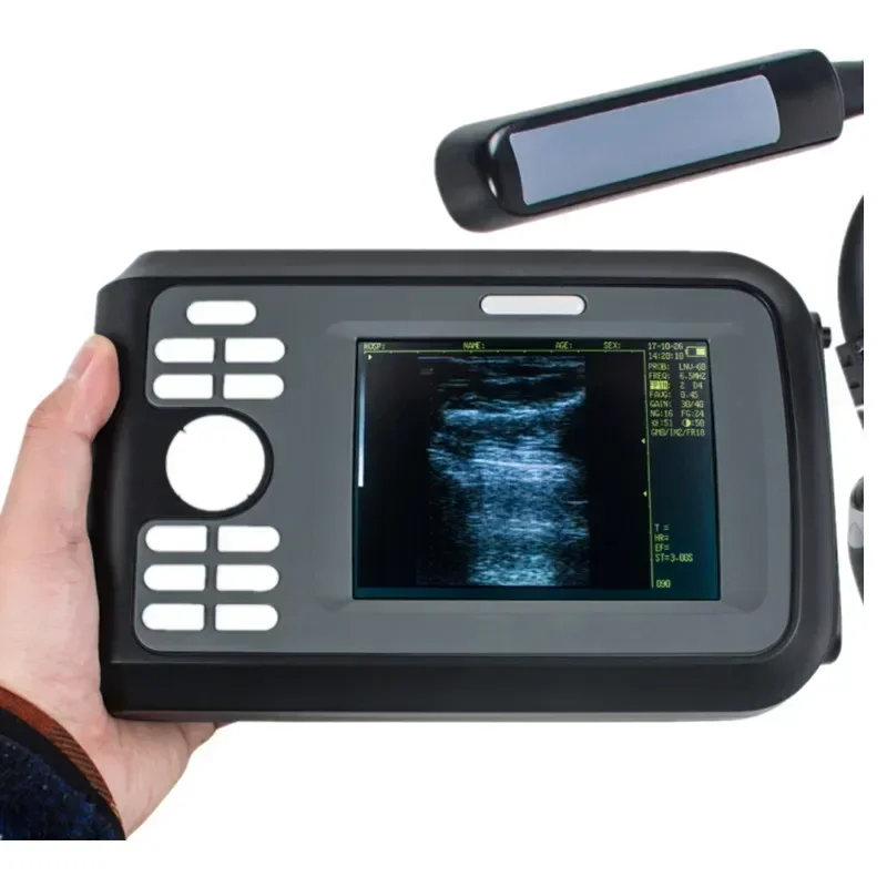 Portable Handheld Veterinary Sonar Dog Pet Cow  Veterinary Ultrasound Machine For Animals Dogs Horse Cows