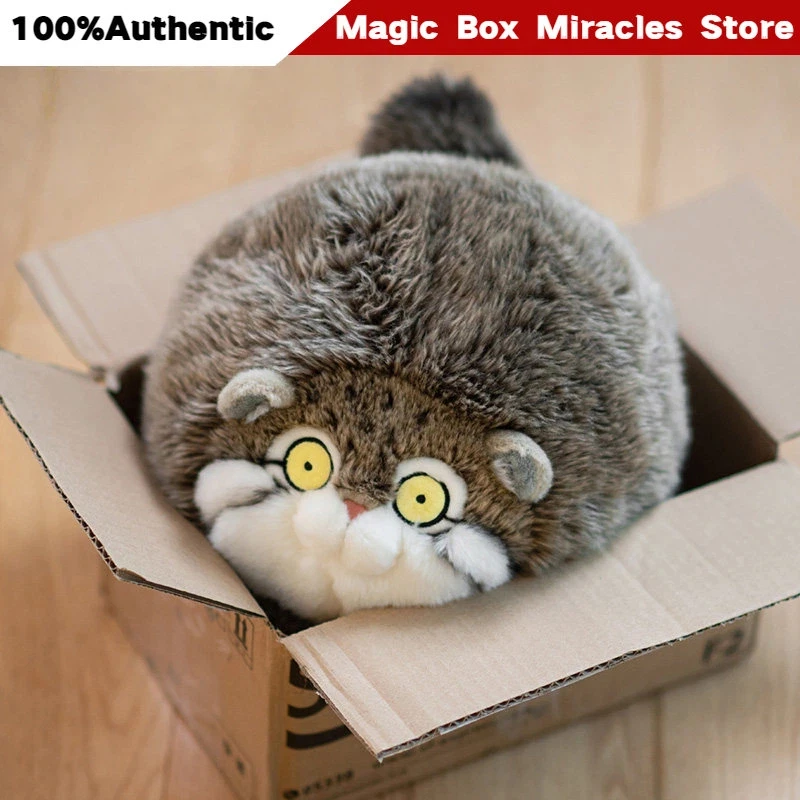 China National Geography Museum Creative Yuanbao Series Pallas'S Cat Plush Toy Animal Soft Doll Toy Holiday Surprise Gift