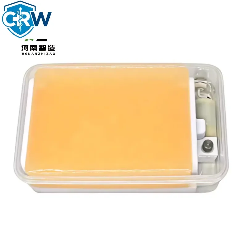 CRW Bestselling Medical Science Colonoscopy Training Model for Teaching Soft Simulation Colonic Organ Model Colon Model